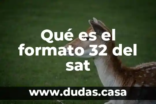Qué es el formato 32 del sat