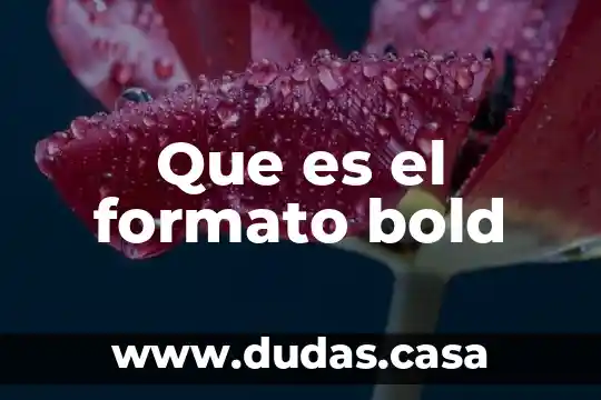 Que es el formato bold