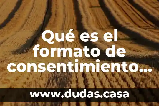 Qué es el formato de consentimiento informado enfermería