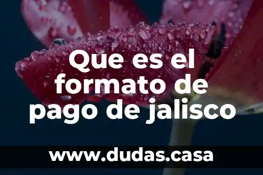 Que es el formato de pago de jalisco