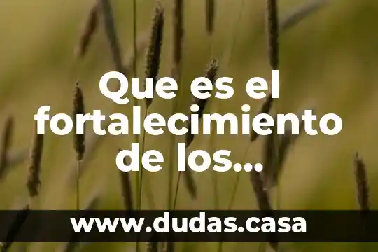 Que es el fortalecimiento de los mercados