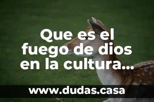Que es el fuego de dios en la cultura huichol