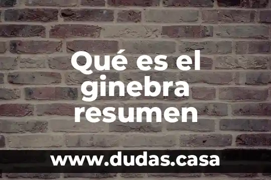 Qué es el ginebra resumen