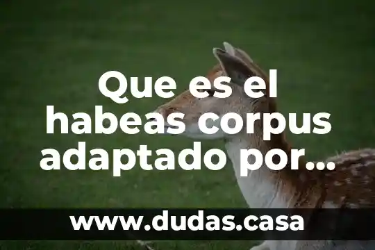 Que es el habeas corpus adaptado por el derecho mexicano