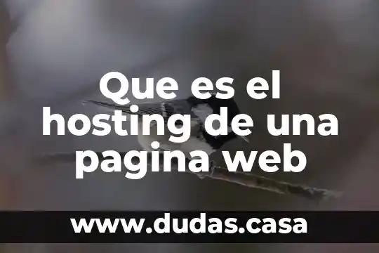 Que es el hosting de una pagina web