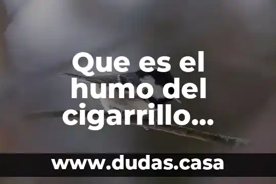 Que es el humo del cigarrillo electronico
