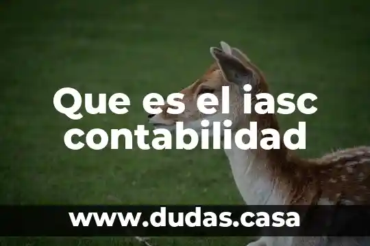 Que es el iasc contabilidad