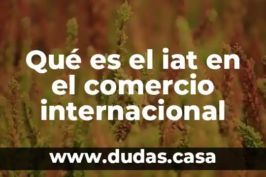 Qué es el iat en el comercio internacional