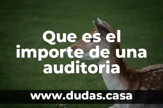 Que es el importe de una auditoria