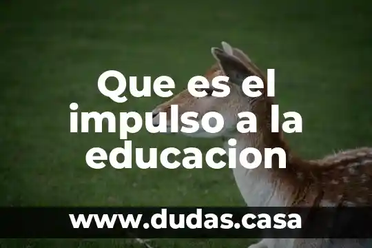 Que es el impulso a la educacion