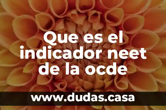 Que es el indicador neet de la ocde