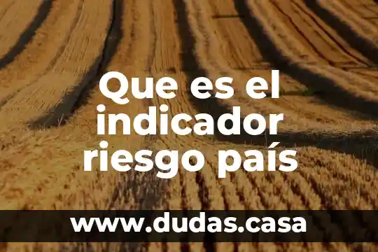 Que es el indicador riesgo país