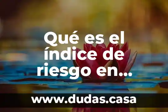 Qué es el índice de riesgo en criminología