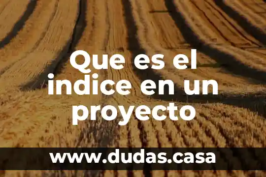 Que es el indice en un proyecto