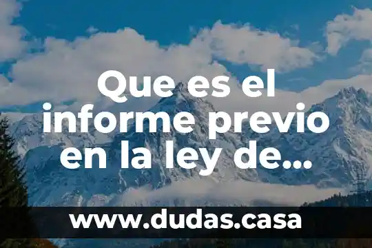 Que es el informe previo en la ley de amparo