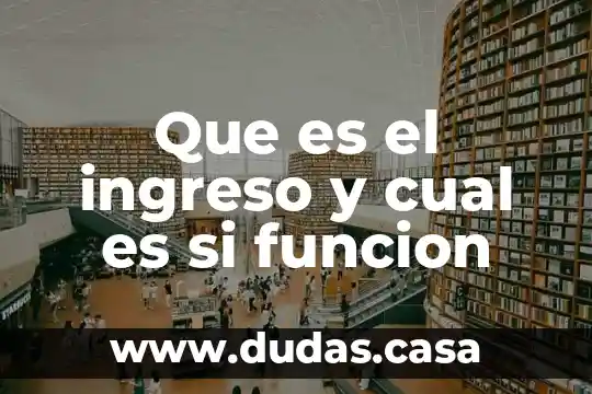 Que es el ingreso y cual es si funcion