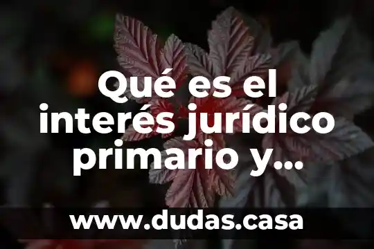 Qué es el interés jurídico primario y secundario