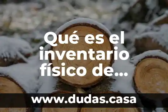 Qué es el inventario físico de almacén incisos