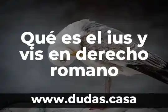 Qué es el ius y vis en derecho romano