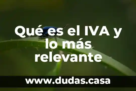 Qué es el IVA y lo más relevante