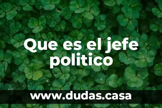 Que es el jefe politico