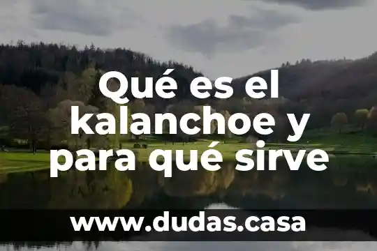 Qué es el kalanchoe y para qué sirve