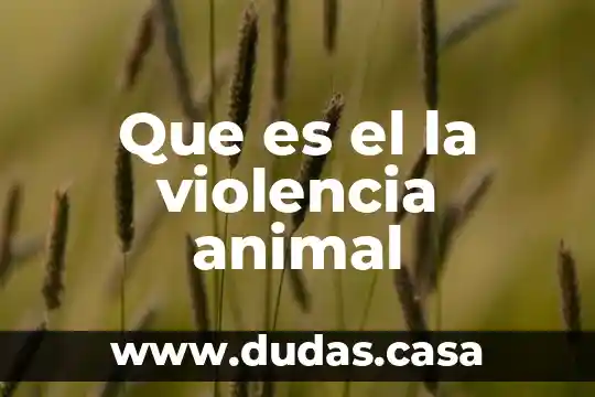 Que es el la violencia animal