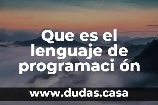 Que es el lenguaje de programaci ón