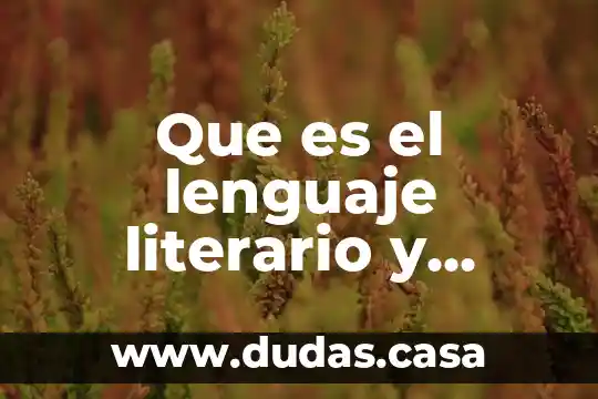 Que es lo que mas se produce en swazilandia 3 Que es el lenguaje literario y como se produce