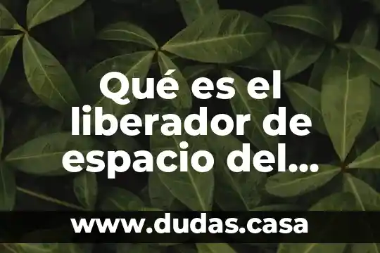 Qué es el liberador de espacio del disco duro