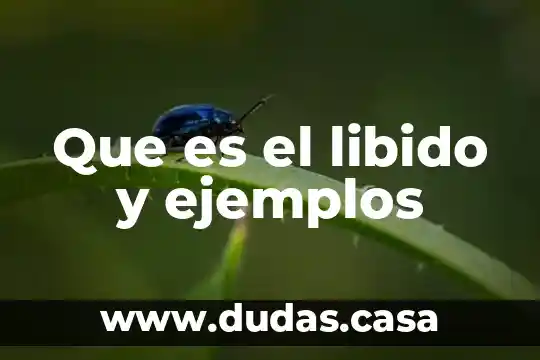 Que es el libido y ejemplos