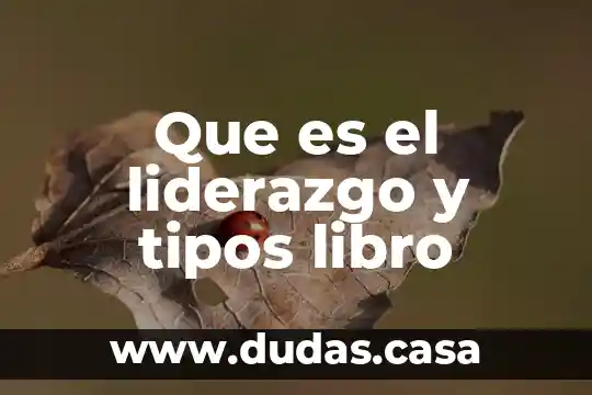 Que es el liderazgo y tipos libro
