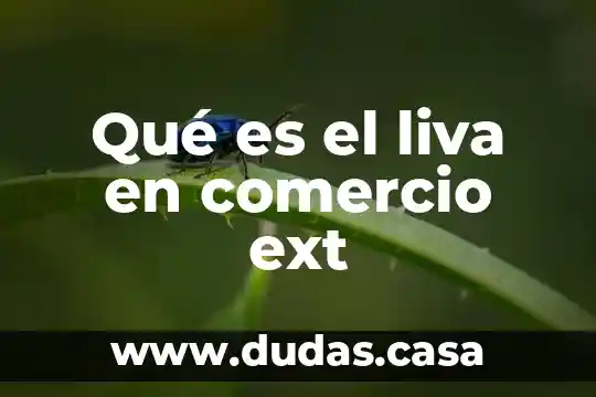 Qué es el liva en comercio ext