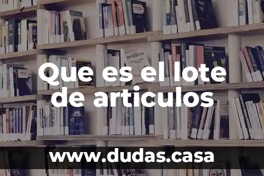 Que es el lote de articulos