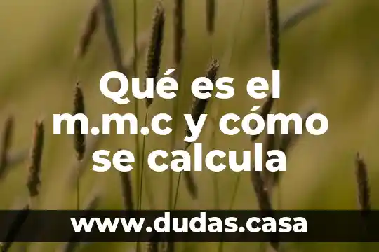 Qué es el m.m.c y cómo se calcula