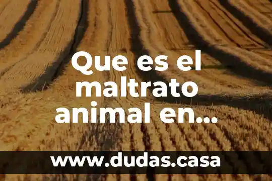Que es el maltrato animal en ingles