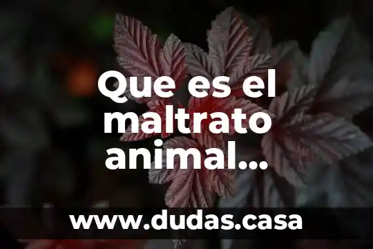 Que es el maltrato animal resumido para ficha de trabajo