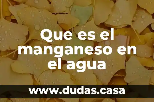 Que es el manganeso en el agua