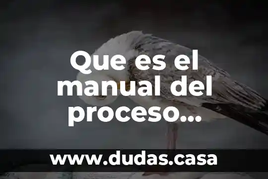 Que es el manual del proceso productivo