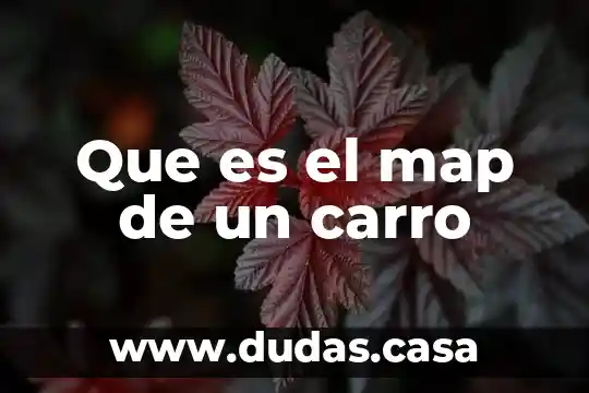 Que es el map de un carro