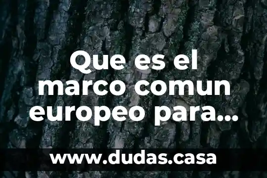 Que es el marco comun europeo para las lenguas