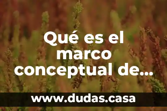 Qué es el marco conceptual de un artículo