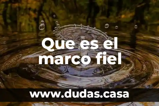 Que es el marco fiel