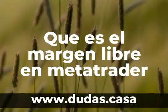 Que es el margen libre en metatrader