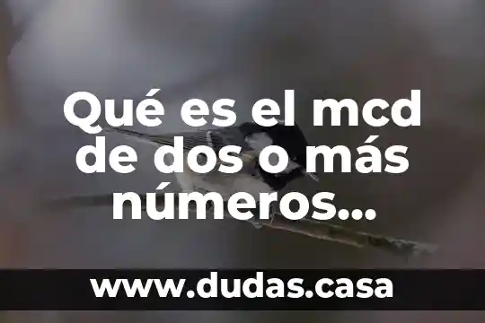 Qué es el mcd de dos o más números primos
