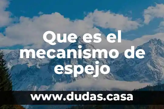 Que es el mecanismo de espejo