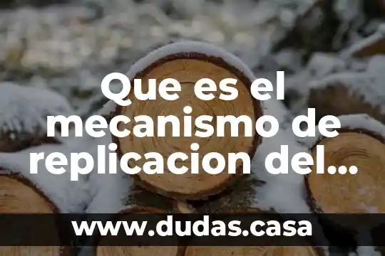Que es el mecanismo de replicacion del adn