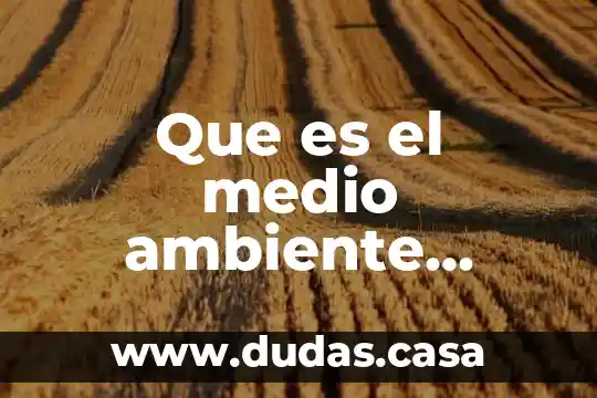 Que es el medio ambiente natural social y cultural