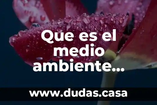 Que es el medio ambiente politico