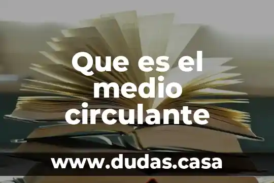 Que es el medio circulante